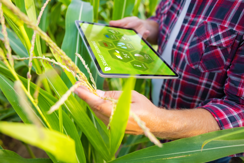 Agri-food